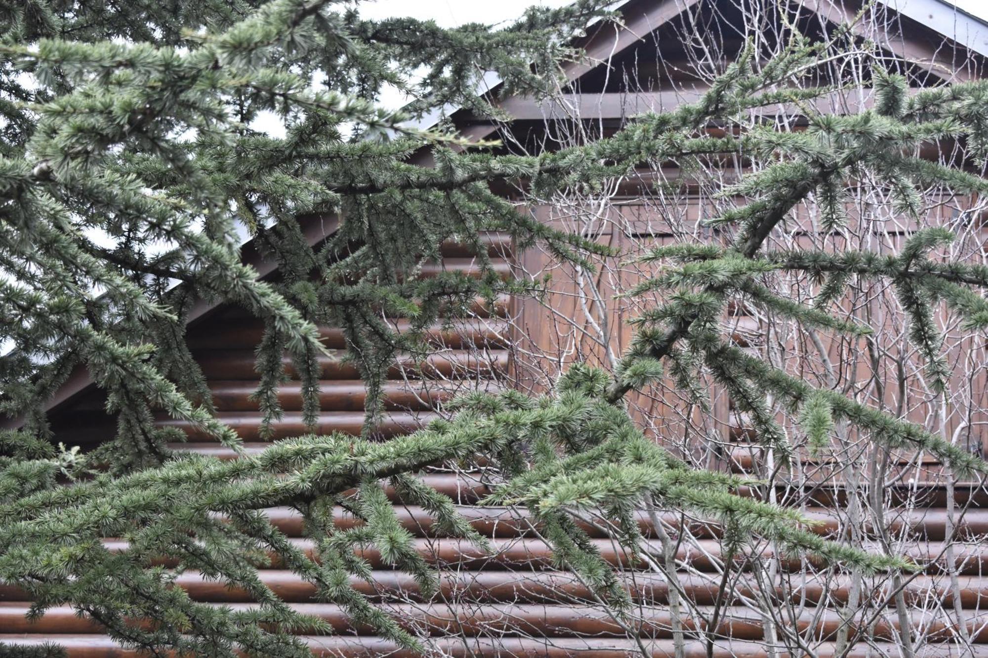 Villa Casa Di Lemnu - στο ματσούκι βορείων τζουμέρκων